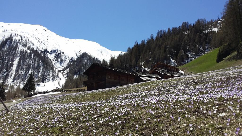 Giatla Hof Der Alfenalm - Ferienwohnungen Am Berg Innervillgraten Eksteriør billede